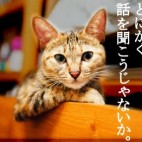 せせ